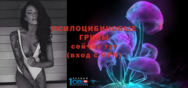 ECSTASY Михайловка