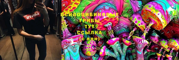 a pvp Михайлов