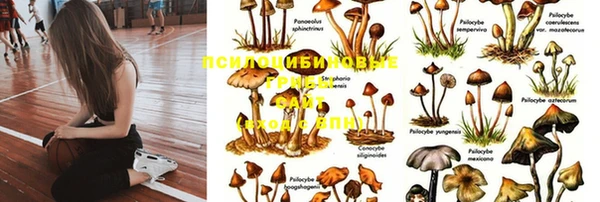 a pvp Михайлов