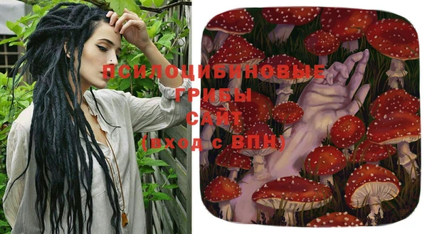 герыч Михайловск