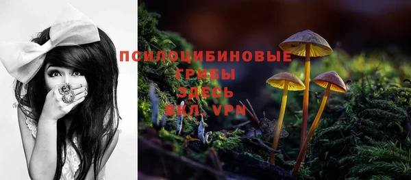 индика Навашино