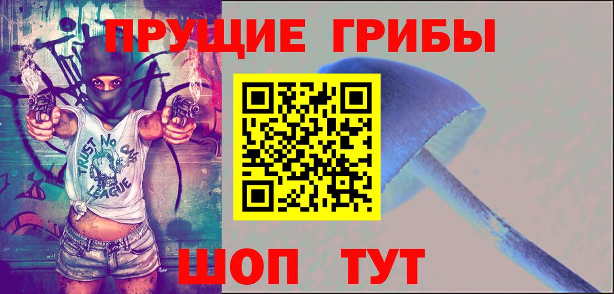 Псилоцибиновые грибы Psilocybine cubensis  Вход с VPN  Санкт-Петербург 
