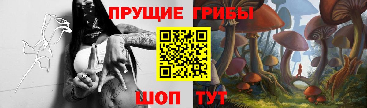 Амфетамин   Санкт-Петербург  MDMA  ЭКСТАЗИ  Гашиш  Меф МЯУ МЯУ кристаллы  APVP СК кристаллы  Мефедрон   КОКАИН  Бошки Шишки 