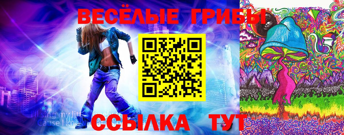 Галлюциногенные грибы мухоморы Санкт-Петербург