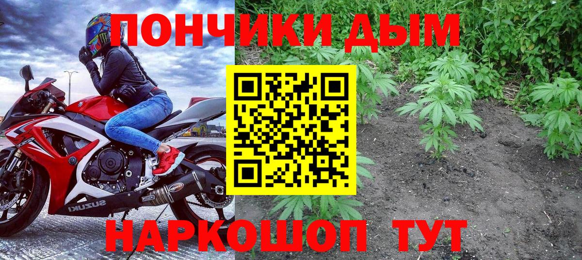 Марихуана план  МАРИХУАНА марихуана  Конопля план  Санкт-Петербург 